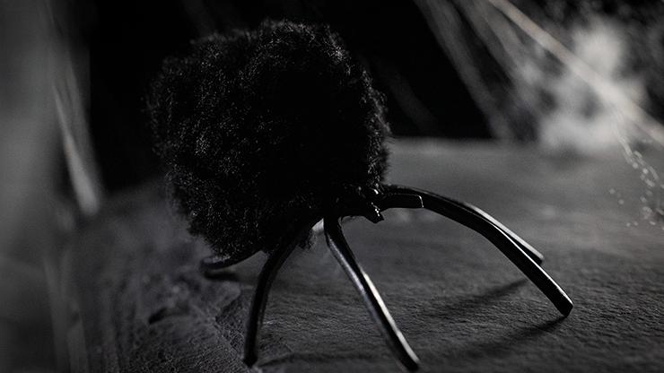 The Web Returns (trucos e instrucciones en línea) de Murphy's Magic - Truco