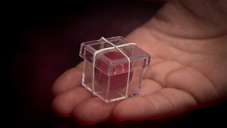 CÁMARA MÁGICA (trucos e instrucciones) de Apprentice Magic - Truco