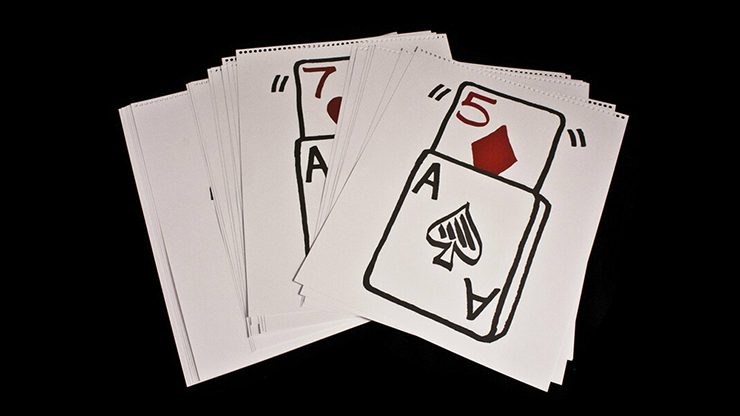 RECAMBIO CARDIOGRAFICO PVP 24 PK (12/5D y 12/7H) de Martin Lewis - Truco