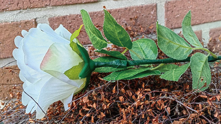 Remote Light Rose Multicolor (Cargador Incluido) de JL Magic - Trick