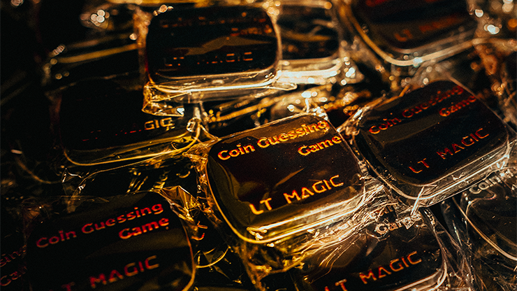 Coin Guessing Game by LT Magic