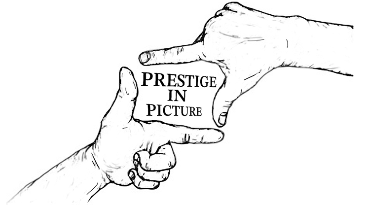 Prestige In Picture by Landon Stark eBook DOWNLOAD