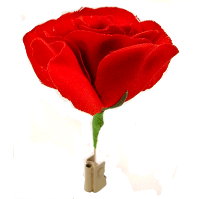 Match to Rose de Mr. Magic - Truco