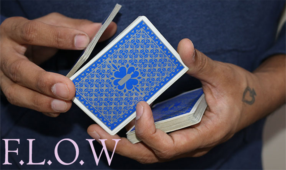 Magic Encarta presenta FLOW de Vivek Singhi - Video DESCARGAR