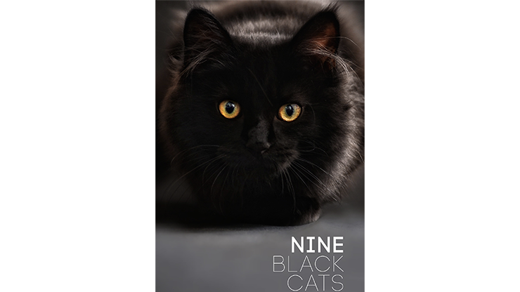 Nueve gatos negros de Neema Atri eBook DESCARGAR