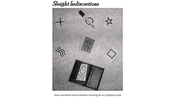Sleight Indiscretions de Brian Lewis eBook DESCARGAR