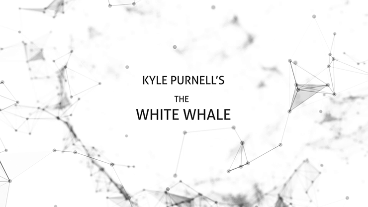 Descargar vídeo La ballena blanca de Kyle Purnell