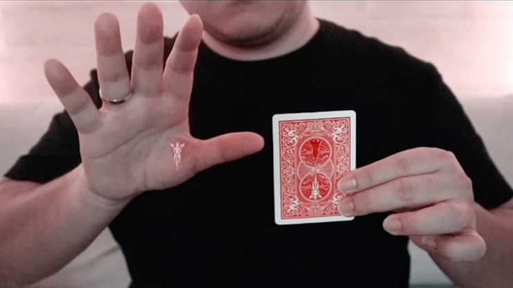 Video Flying Angel de Robby Constantine DESCARGAR