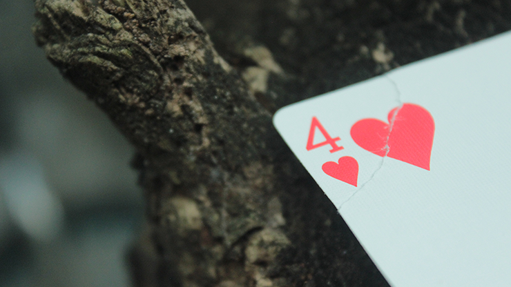 Sinistear de Arnel Renegado DESCARGAR video