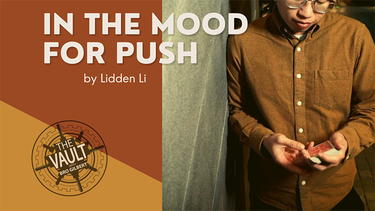 The Vault - In The Mood For Push de Lidden Li video DESCARGAR