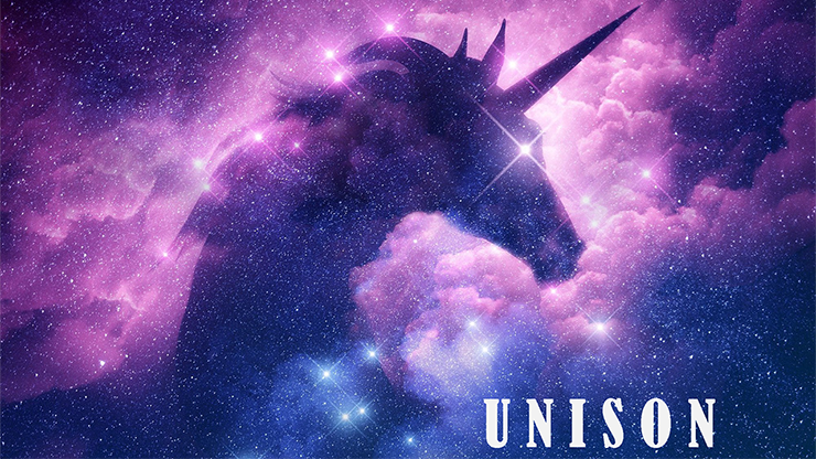 UNISON de Dibya Guha ebook DESCARGAR