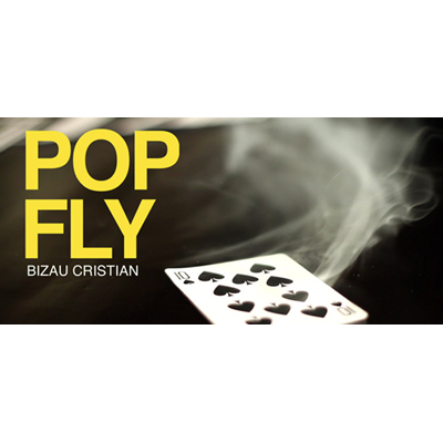 Pop Fly de Bizau Cristian video DESCARGAR