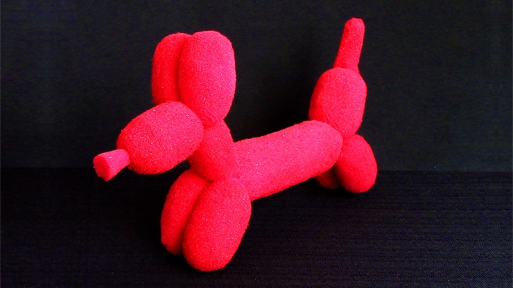 Sponge Balloon Dog de Alexander May - Truco 