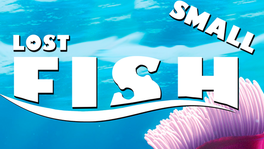 Lost Fish (Pequeño) de Aprendemagia - Truco 