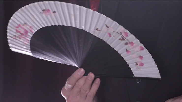 Fantast de Po-Cheng Lai - DVD 