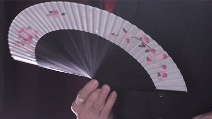 Fantast de Po-Cheng Lai - DVD 