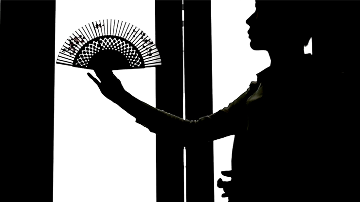 Fantast de Po-Cheng Lai - DVD 