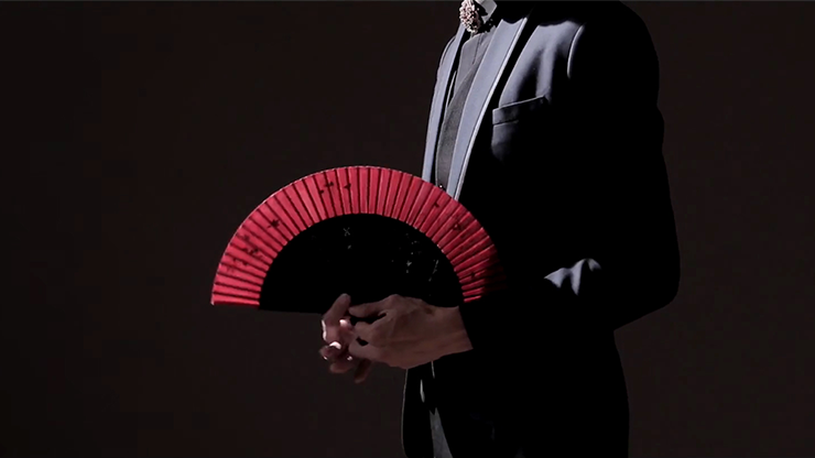 Fantast de Po-Cheng Lai - DVD 