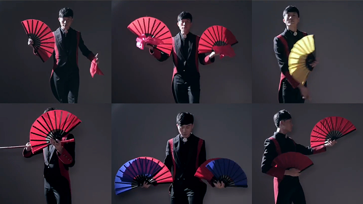 Fantast de Po-Cheng Lai - DVD 