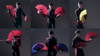 Fantast de Po-Cheng Lai - DVD 