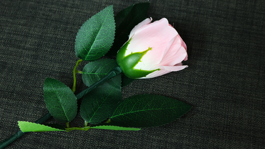 Rose Light set RED de JL Magic - Truco 