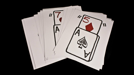 RECAMBIO CARDIOGRAFICO PVP 24 PK (12/5D y 12/7H) de Martin Lewis - Truco