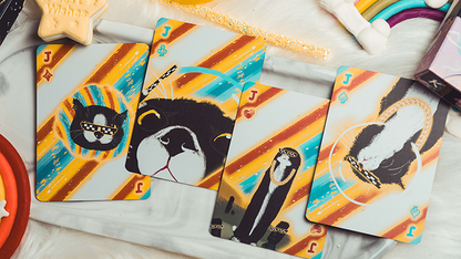 Space Cat V2 Collector's Box Set Playing Cards by King Star