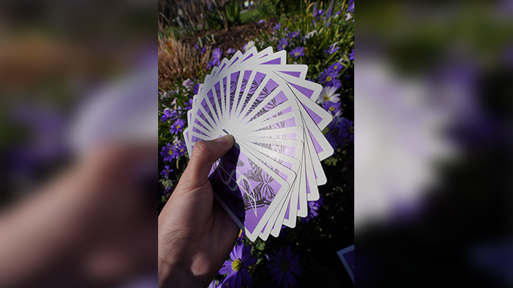 Dream of Butterflies by YD Cards