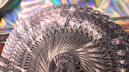 Crystal playing cards by Evokad