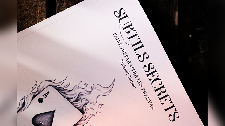 Subtle Secrets 1 by Thibault Ternon