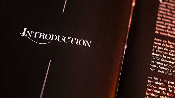 Subtle Secrets 1 by Thibault Ternon