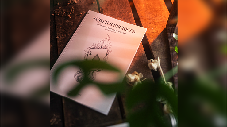 Subtle Secrets 1 by Thibault Ternon