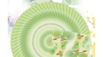 Bicycle Seasons (Summer Edition) Playing Cards