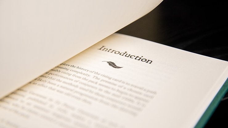 The Hummingbirds by Luke Jermay