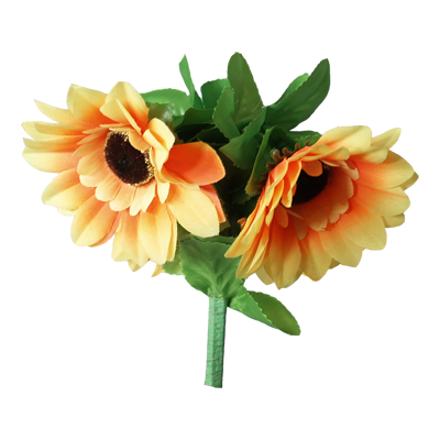 Amazing Split Sunflower de Premium Magic - Truco