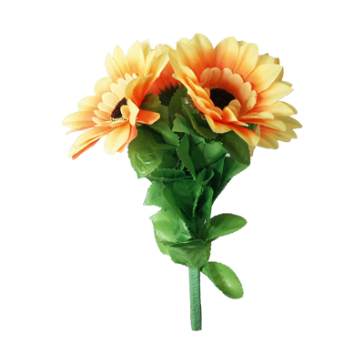 Amazing Split Sunflower de Premium Magic - Truco