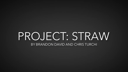 Project Straw de Brandon David &amp; Chris Turchi video DESCARGAR