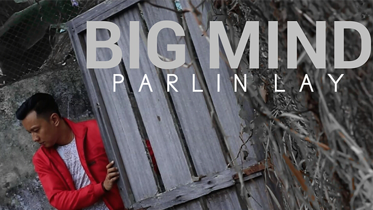 Big Mind de Parlin Lay DESCARGAR vídeo