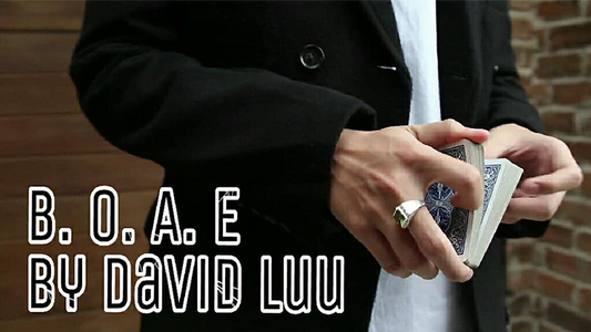 Blink Of An Eye de David Luu DESCARGAR video