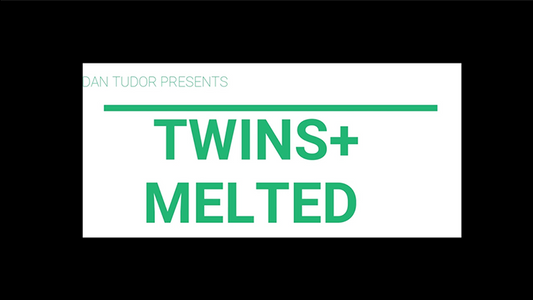 Vídeo Twins + Melted de Dan Tudor DESCARGAR