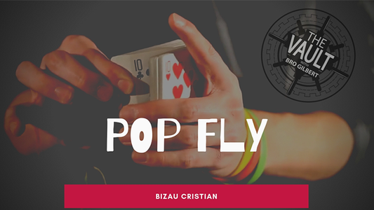 The Vault - Pop Fly de Bizau Cristian video DESCARGAR