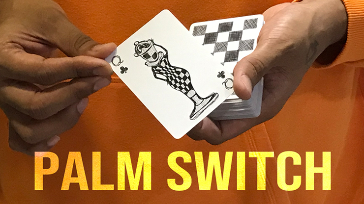 Magic Encarta presenta Palm Switch y Palm Control de Vivek Singhi