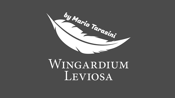 Video Wingardium Leviosa de Mario Tarasini DESCARGAR