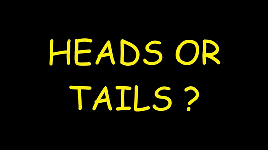 Vídeo Heads or Tails de Damien Keith Fisher DESCARGAR