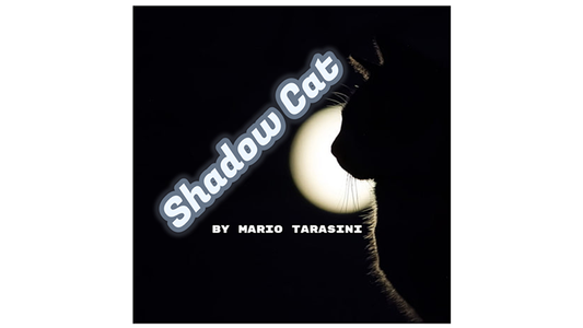 Vídeo Shadow Cat de Mario Tarasini DESCARGAR