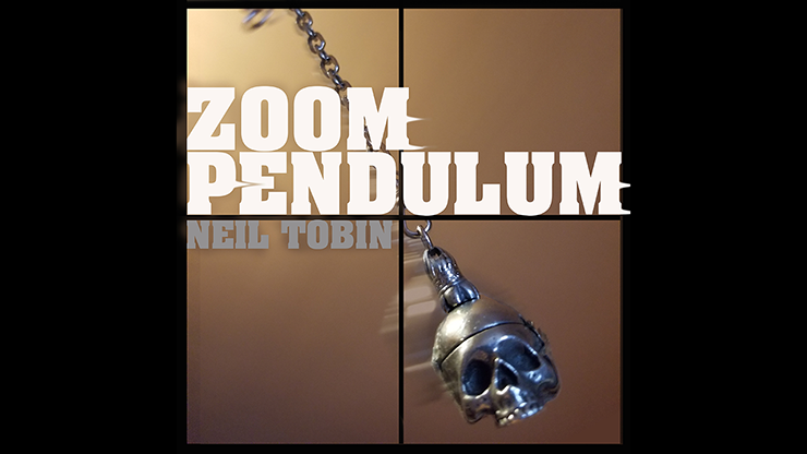 Descargar libro Zoom Pendulum de Neil Tobin