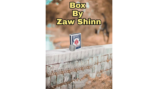 Video Box de Zaw Shinn DESCARGAR