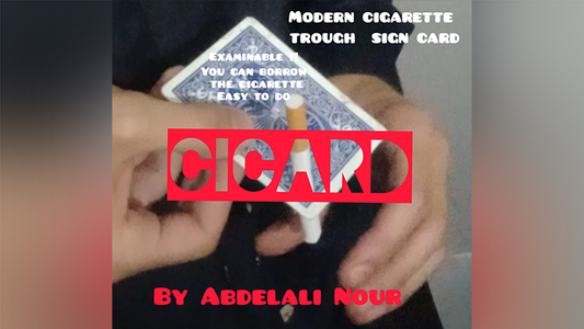 Cicard de Abdelali Nour DESCARGAR video